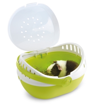 SAVIC TRANSPORTBOX ELMO GROEN / WIT